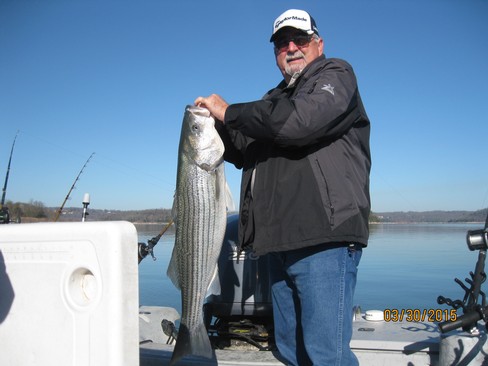 Nice Striped Bass